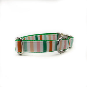 Shamrock Stripe Canvas Dog Collar