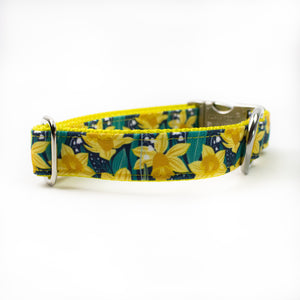 Daffodil Canvas Dog Collar