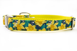 Daffodil Canvas Dog Collar