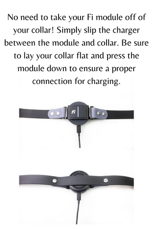 Fi Series 3 Compatible Side Release Buckle Biothane Dog Collar (Choice of 5/8", 3/4” or 1”) - Not adjustable