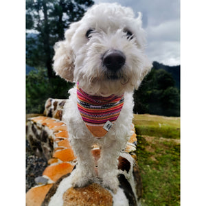 Sedona Dog Bandana