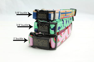 Moth Canvas Dog Collar