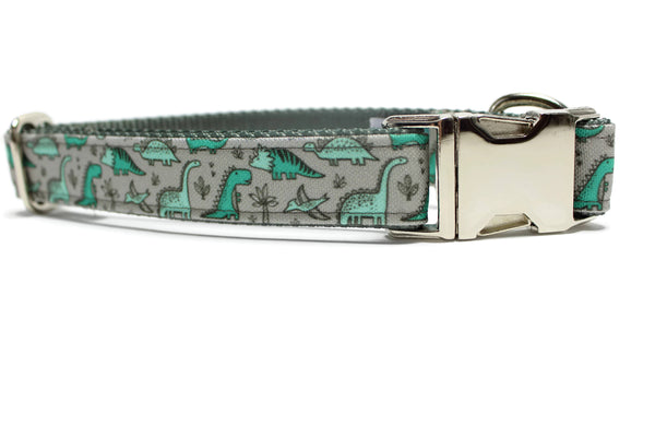 Green Dinosaur Canvas Dog Collar