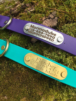 Fi Series 1 & 2 Compatible Multicolored 1" Biothane Dog Collar