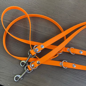 Euro Biothane Dog Lead