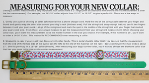 Fi Series 1 & 2 Compatible Multicolored 1" Biothane Dog Collar
