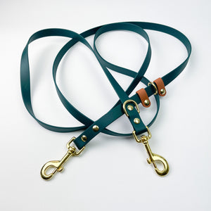 Convertible Biothane Lead