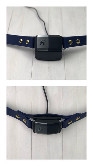 Fi Series 1 & 2 Compatible Multicolored 1" Biothane Dog Collar