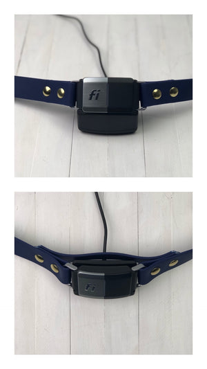 Fi Series 1 & 2 Compatible 1" Biothane Dog Collar
