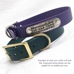 Standard Biothane Dog Collar