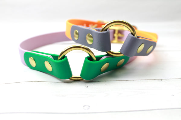 Multicolored O-Ring Biothane Dog Collar
